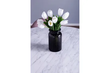 Admira Matgrupp med 4 Valeri Matstolar - Möbler - Bord & matgrupp - Matgrupp