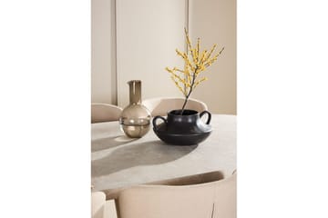 Matgrupp Narvik 100x200 cm Beige med 6st Astoria Stolar Beige - Beige - Möbler - Bord & matgrupp - Matgrupp