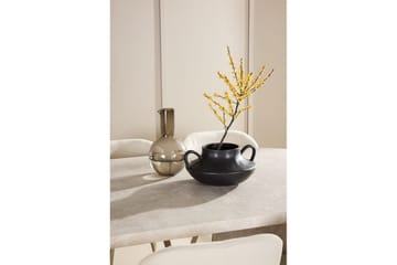 Matgrupp Narvik 100x200 cm Beige med 6st Lilja Stolar - Möbler - Bord & matgrupp - Matgrupp