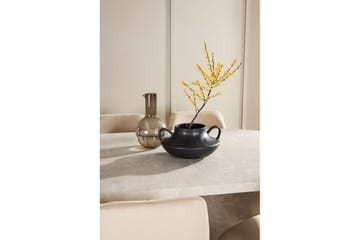 Matgrupp Narvik 100x200 cm Beige med 6st Night Stolar - Möbler - Bord & matgrupp - Matgrupp