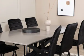 Penny Matgrupp 190 cm inkl 6 Robin Sammetsstolar - Grå/Svart - Möbler - Bord & matgrupp - Matgrupp