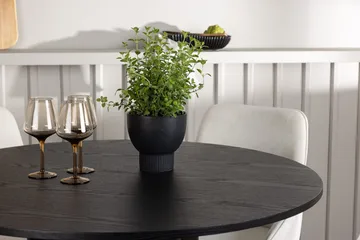 Svart - Beige, mocca, svart