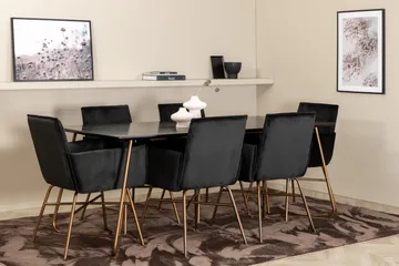 Petra Matgrupp 190 cm Rektangulär med 6 Petra stolar - Svart - Möbler - Bord & matgrupp - Matgrupp