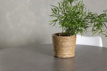 Piazza Matgrupp  120 cm Rund med 4 Zeno stolar - Grå - Möbler - Bord & matgrupp - Matgrupp