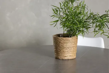 Piazza Matgrupp  120 cm Rund med 4 Zeno stolar - Grå - Möbler - Bord & matgrupp - Matgrupp