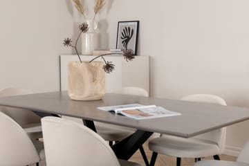 Piazza Matgrupp 180 cm Rektangulär med 6 Velvet stolar - Beige - Möbler - Bord & matgrupp - Matgrupp