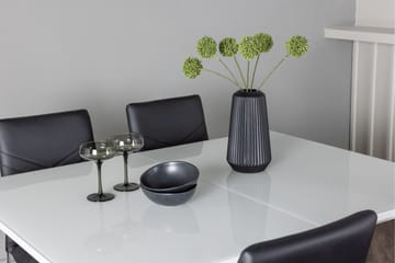 Pluto Matgrupp 120 cm Rektangulär med 4 Lily stolar - Svart - Möbler - Bord & matgrupp - Matgrupp