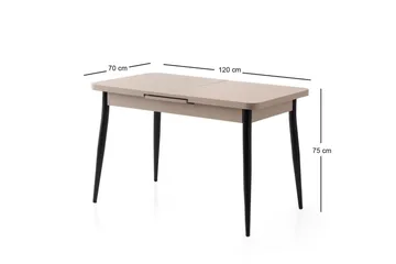 Saidie Matbord 120 cm Rektangulär - Brun - Möbler - Bord & matgrupp - Matbord & köksbord