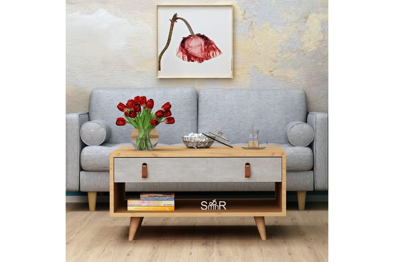Soffbord Naidaj 80 cm med Förvaring Låda + Hylla Läderbeslag - Grå/Trä - Soffbord