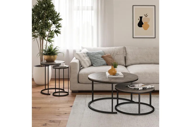 Tamazi Satsbord, Grå