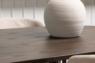 Stone Matbord 220x100x74 cm Oval med 4 Modesto Matstol - Möbler - Bord & matgrupp - Matgrupp