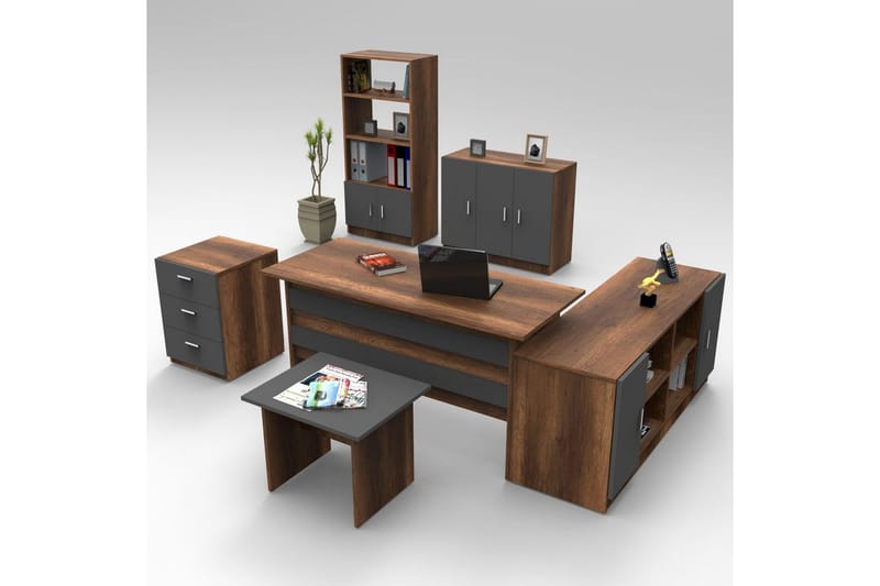 Kontorsmöbelset Raveena 17 Barock / Antracit, Barock / Antracit