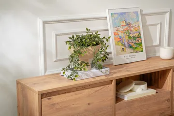 Gulliver Tv-bänk 160 cm - Brun - Möbler - TV- & Mediamöbler - TV bänk & mediabänk