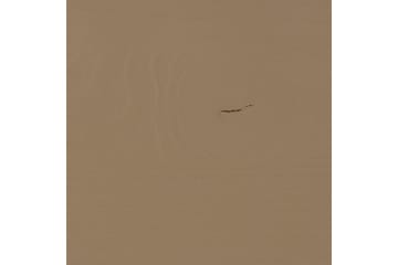 Skivskåp Turner - Möbler - TV- & Mediamöbler - CD-hylla & DVD-hylla