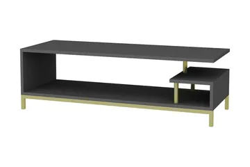 Andifli Tv-bänk 120x37,6 cm - Guld - Möbler - TV- & Mediamöbler - TV bänk & mediabänk