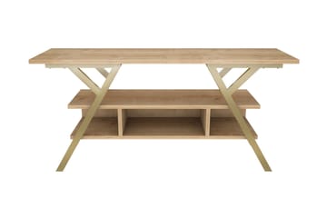Desgrar Tv-bänk 120x55 cm - Guld - Möbler - TV- & Mediamöbler - TV bänk & mediabänk