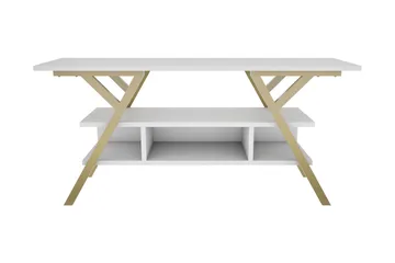 Desgrar Tv-bänk 120x55 cm - Guld - Möbler - TV- & Mediamöbler - TV bänk & mediabänk