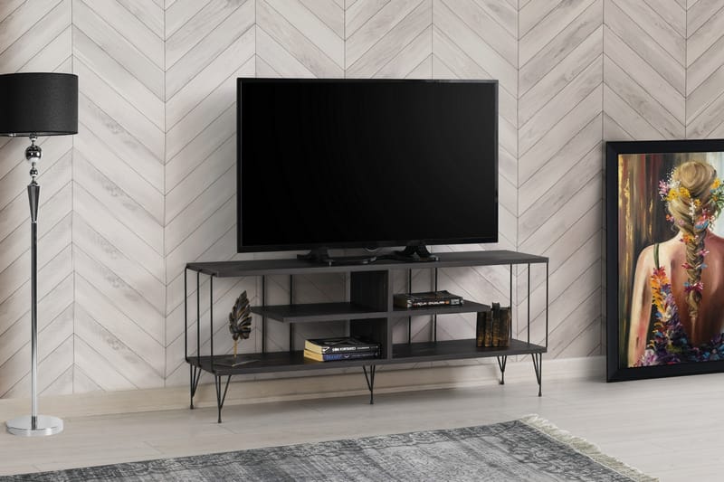 Tv-bänk Steinhagen 120 cm - Mörkbrun - Möbler - TV- & Mediamöbler - TV bänk & mediabänk