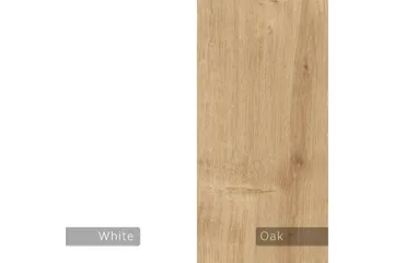 TV-bänk Rasab Sudamalek / Vit - Sudamalek / Vit - Möbler - TV- & Mediamöbler - TV bänk & mediabänk