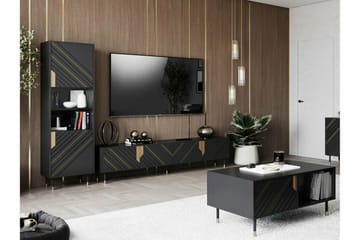 Juniskär Golvstående Tv Bänk 204 cm med Förvaring i Målat Trä - Svart - Möbler - TV- & Mediamöbler - TV bänk & mediabänk