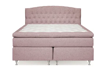 Fast/Medium - Rosa