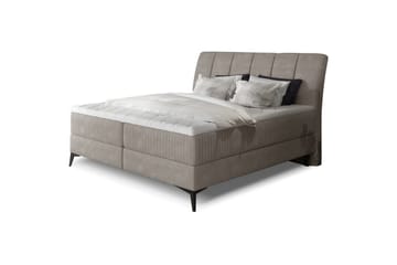 Boxfjäder Eltap Aderito