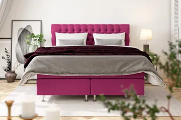 Celine Kontinentalsäng 120x200cm - Rosa/Sammet - Möbler - Säng - Kontinentalsäng