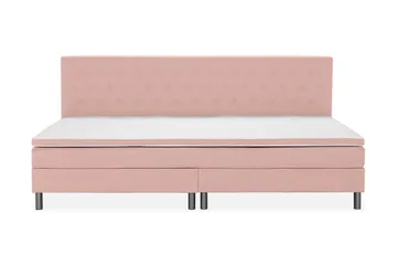 280x210 - Rosa
