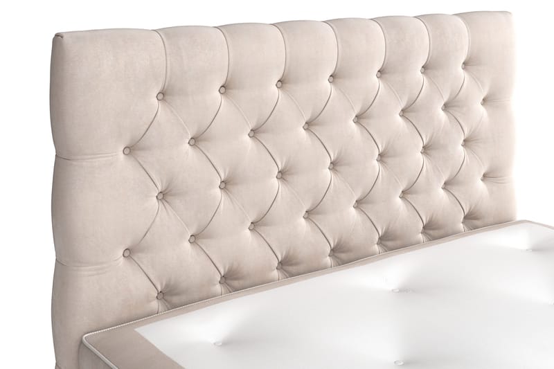 Celine Sängpaket 140x200cm - Beige/Sammet - Möbler - Säng - Kontinentalsäng