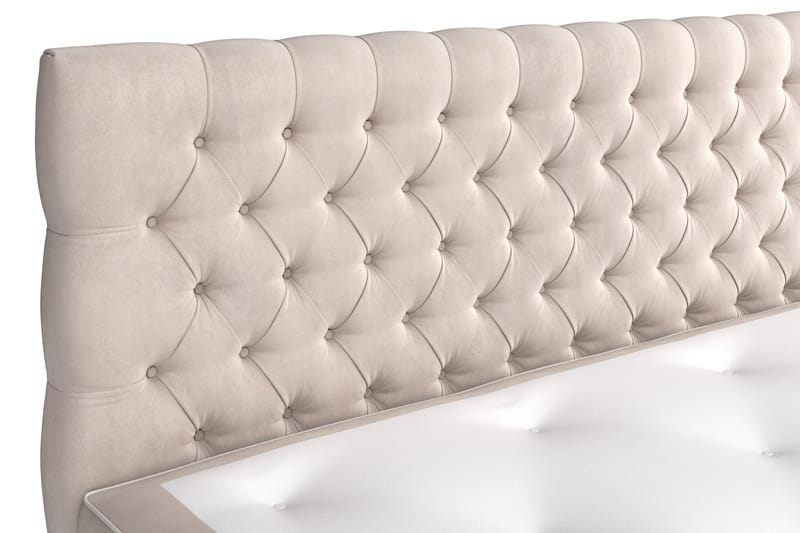 Celine Sängpaket 160x200cm - Beige / Sammet - Möbler - Säng - Kontinentalsäng