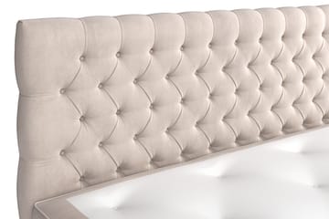 Celine Sängpaket 180x200 cm - Beige / Sammet - Möbler - Säng - Kontinentalsäng