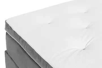 Ella Kontinentalsäng 120x200cm - Grå/Sammet - Möbler - Säng - Kontinentalsäng