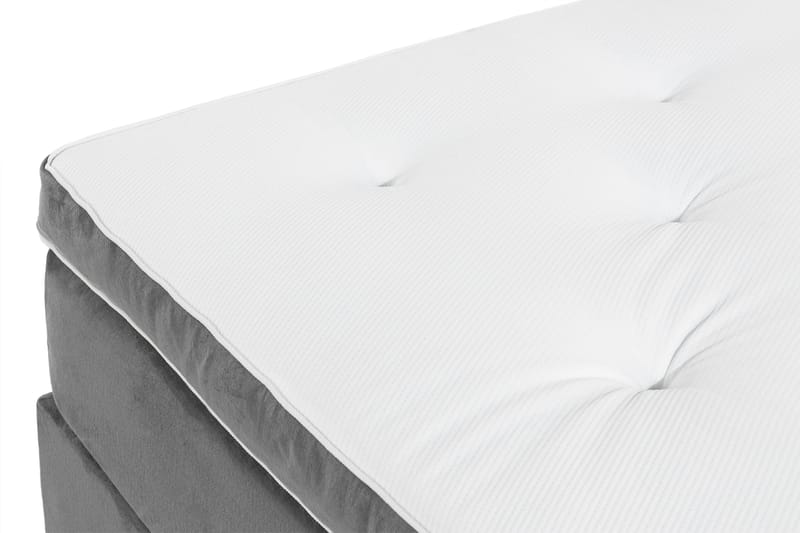 Ella Kontinentalsäng 160x200cm - Grå/Sammet - Möbler - Säng - Kontinentalsäng