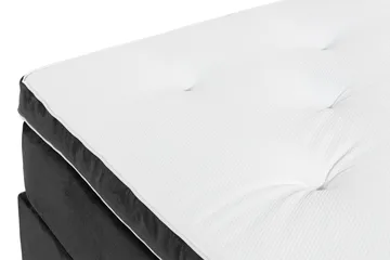 Ella Kontinentalsäng 160x200cm - Mellangrå/Sammet - Möbler - Säng - Kontinentalsäng