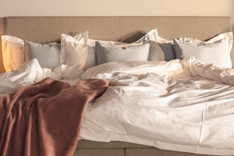 Familjesäng Sängpaket Rebeca 240x210 cm - (+Fler val) Mullvad - Möbler - Säng - Kontinentalsäng