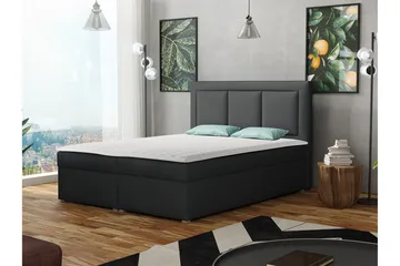 Moden Kontinentalsäng 180x215cm LED-belysning - Svart - Möbler - Säng - Kontinentalsäng