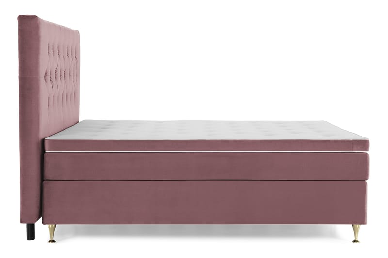 Royal Velvet Komplett Sängpaket 180x200 cm - Rosa med Låga Guldben - Möbler - Säng - Kontinentalsäng