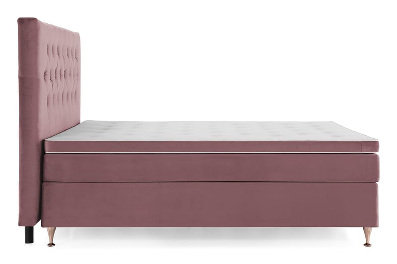 Royal Velvet Komplett Sängpaket 180x200 cm - Rosa med Låga Rosében - Möbler - Säng - Kontinentalsäng