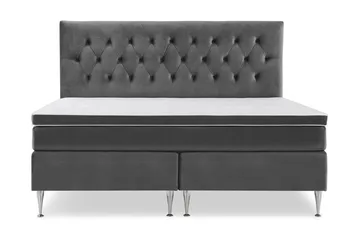 Höga Silverben - Mörkgrå