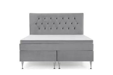 Höga Silverben - Ljusgrå