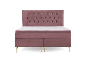 Höga Guldben - Rosa