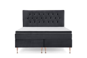 Höga Rosében - Svart