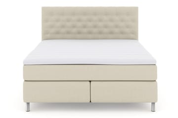 Medium / Fast - Beige