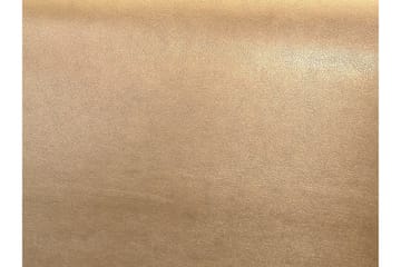 Paris Vattensäng 160x200 cm Guld  Guld - Guld - Möbler - Säng - Vattensäng