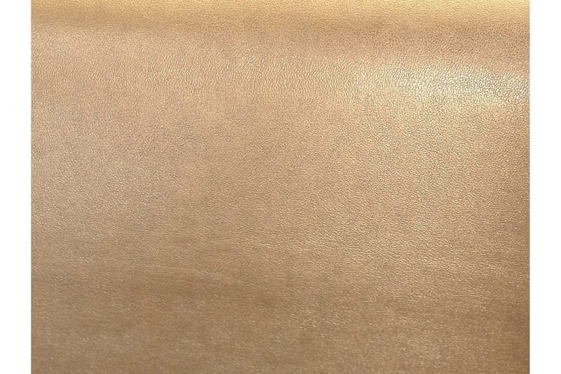 Paris Vattensäng 160x200 cm Guld  Guld - Guld - Möbler - Säng - Vattensäng
