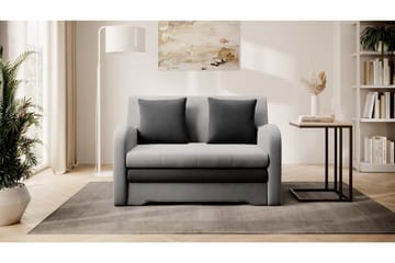 Ario Soffa 2-sits - Grå - Möbler - Soffa - Bäddsoffa - 2 sits bäddsoffa