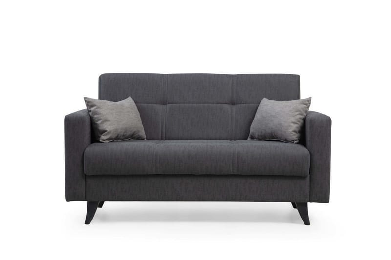 Darcia 2-sits Längsbäddad Bäddsoffa 55x125 cm med Förvaring i Tyg, Antracit