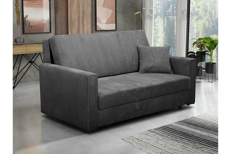 Denegal 2-sits liten b�äddsoffa i Manchester - Grå - Möbler - Soffa - Bäddsoffa - 2 sits bäddsoffa