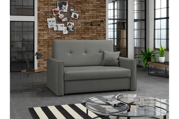 Denegal 2-sits liten bäddsoffa i Plysch - Grå - Möbler - Soffa - Bäddsoffa - 2 sits bäddsoffa