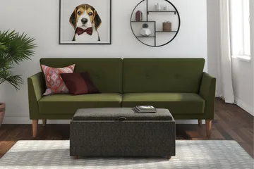 Regal 2-sits Bäddsoffa Grön - Novogratz - Möbler - Soffa - Bäddsoffa - 2 sits bäddsoffa